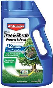 bayer advanced 701700 12 month tree and