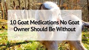 10 goat cations no goat owner