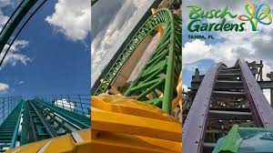 roller coaster at busch gardens ta