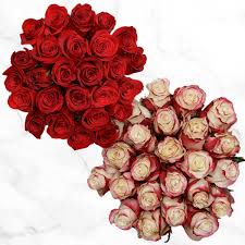 I was personally quotes thousands of dollars for florals that i. 50 Stem Red Bi Color Red White Roses Costco