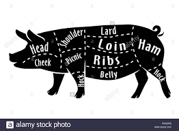 Cut Of Pork Diagram For Butcher Pork Cut Stock Vector Art
