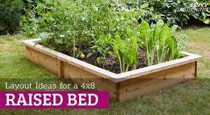 4x8 Raised Bed Vegetable Garden Layout