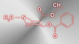 Kokain, koka bitkisi olarak da bilinen erythroxylon coca isimli bitkinin yapraklarından elde edilen, bağımlılık yapıcı ve uyarıcı özellikleri olan bir maddedir. Steckbrief Kokain