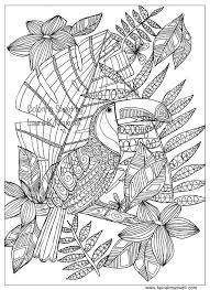 Tropical page design or poster vector. Toucan Coloring Sheet For Adults And Kids Printable Coloring Etsy