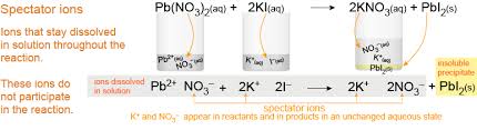 Net Ionic Equations Essential