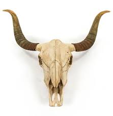 Toro Rustic Lodge Bull Head Skull