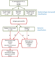 Flow Chart Showing How 270 Invasive W St 11 Meningococcal