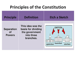 ppt principles of the consution
