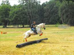 October 16, 2019 0 comments. 120 Hippotherapy And Therapeutic Riding Ideas Horse Therapy Equine Therapy Therapeutic Horseback Riding
