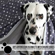 diy quick dry layered dog blankets with