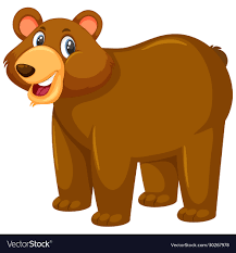 cute grizzly bear on white background