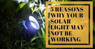 5 Reasons Why Your Solar Light May Not