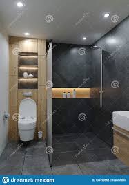 Modern Minimalistic New Bathroom With Cement Concrete Grunge
