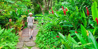 caribbean gardens to explore marriott