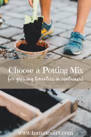 Potting Mix For Growing Tomatoes