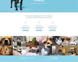 Petco, an online pet shop website