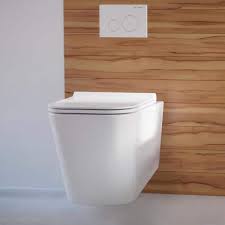 Dual Flush Elongated Toilet Bowl