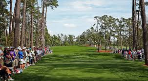 Removal of a small tree can cost anywhere from under $150 to over $450. Eisenhower Tree Will Be Missed At This Masters