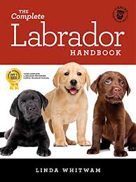 The Complete Labrador Handbook The Essential Guide For New Prospective Labrador Retriever Owners Canine Handbooks