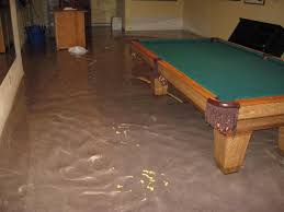 What If My Basement Floods Premier