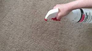 how to remove carpet stains with a