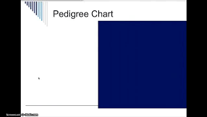 Pedigree Chart Analysis Al Madinah School