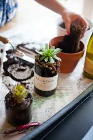 diy wine bottle succulent planters