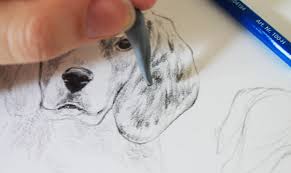Step by step tutorial to draw realistic dog noses. Drawing Realistic Animals How To Draw A Dog