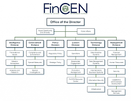 Organizational Chart Fincen Gov