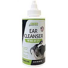 Ear cleaners have different strengths and properties but stronger is definitely not better when it comes to maintenance dog ear cleaning. Buy Petwise Natural Ear Cleaner Solution 8 Oz Ear Cleaning Solution For Dogs And Cats Dog Ear Infection Treatment Best Ear Wash For Dogs Online In Indonesia B08w27vd94