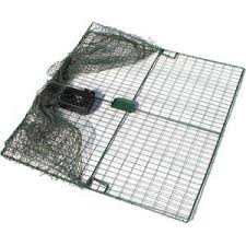bird traps bird barrier
