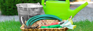 3 Easy Diy Plant Watering Systems