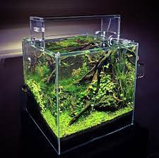 ada cube garden kubus aquascape