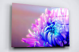 Chrysanthemum Flower Acrylic Glass Wall
