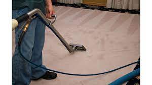 stelus carpet cleaning