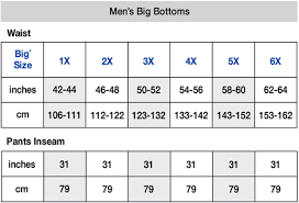 Big And Tall Champion Athletic Pants Gray 2xl
