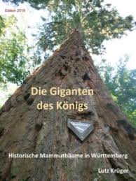 Im winter kommen junge mammutbäume besser hinein ins warme bzw. Wilhelma Saat Historische Mammutbaume In Wurttemberg