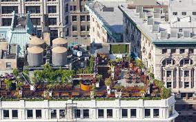 Surprising Benefits To Adding A Roof Garden