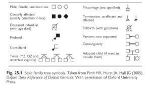 How to draw a family tree part 2 advanced youtube. Paediatrics Taking A Family History