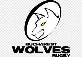 bucurești wolves rugby union zebre