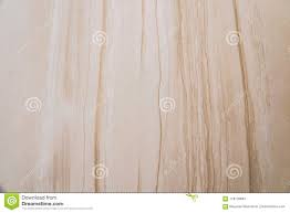 Wooden Texture Tile In The Toilet Wall Stock Photo Image