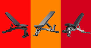 6 best weight benches 2023 the strategist