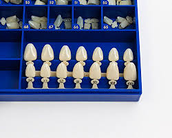 Polycarbonate Temporary Dental Crowns Kit 180 Pcs With Crown Mold Guides