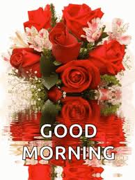 good morning red roses bouquet gif