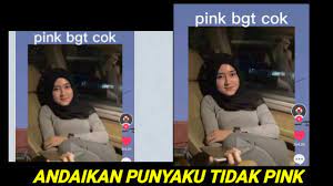 If you love them t. Viral Video Tiktok Pink Banget Cok Andaikan Punyaku Tidak Pink Youtube