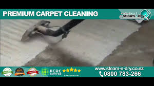 steam n dry carpet cleaning benefits