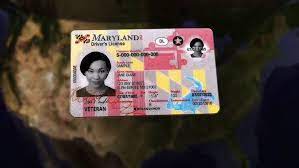 maryland driver s license requirements