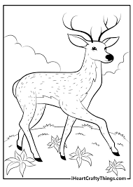 deer coloring pages 100 free printables