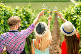 wine tasting and winery tours