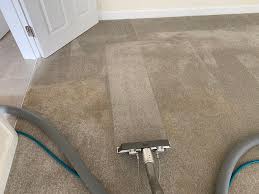 proclene professional carpet cleaning